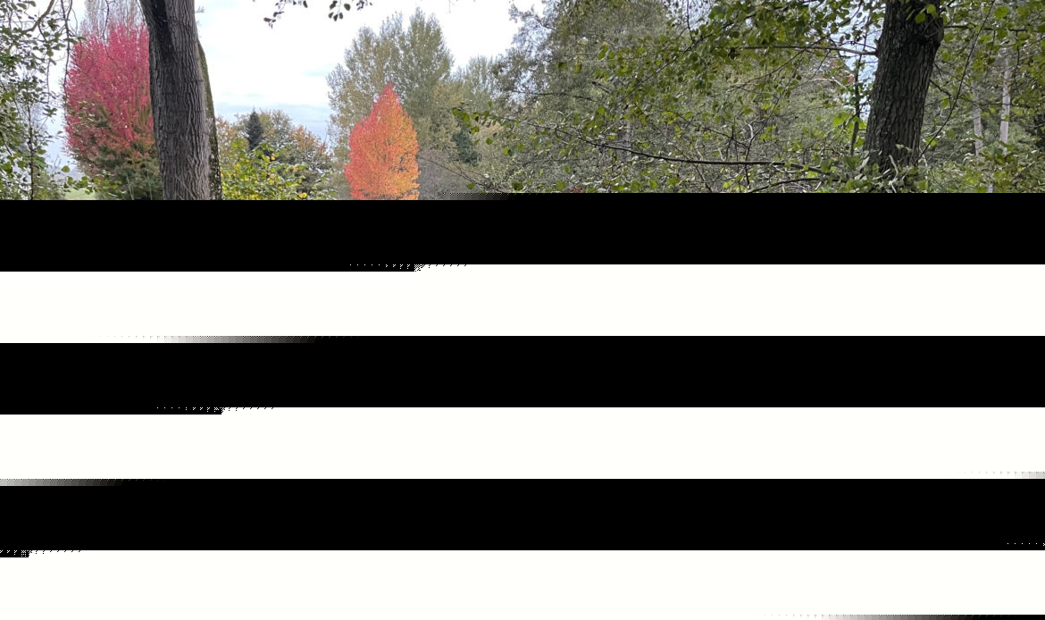 3771b4e3.jpg